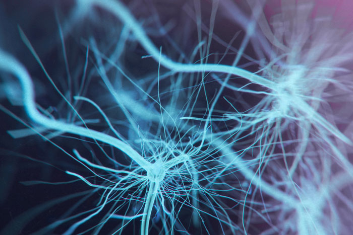 Deep Posteromedial Cortical Rhythm in Dissociation