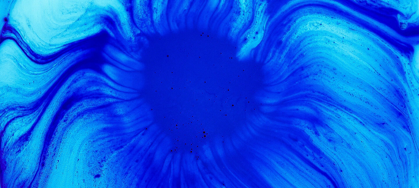 Attention: A Unified Theory of Psychedelics and Meditation