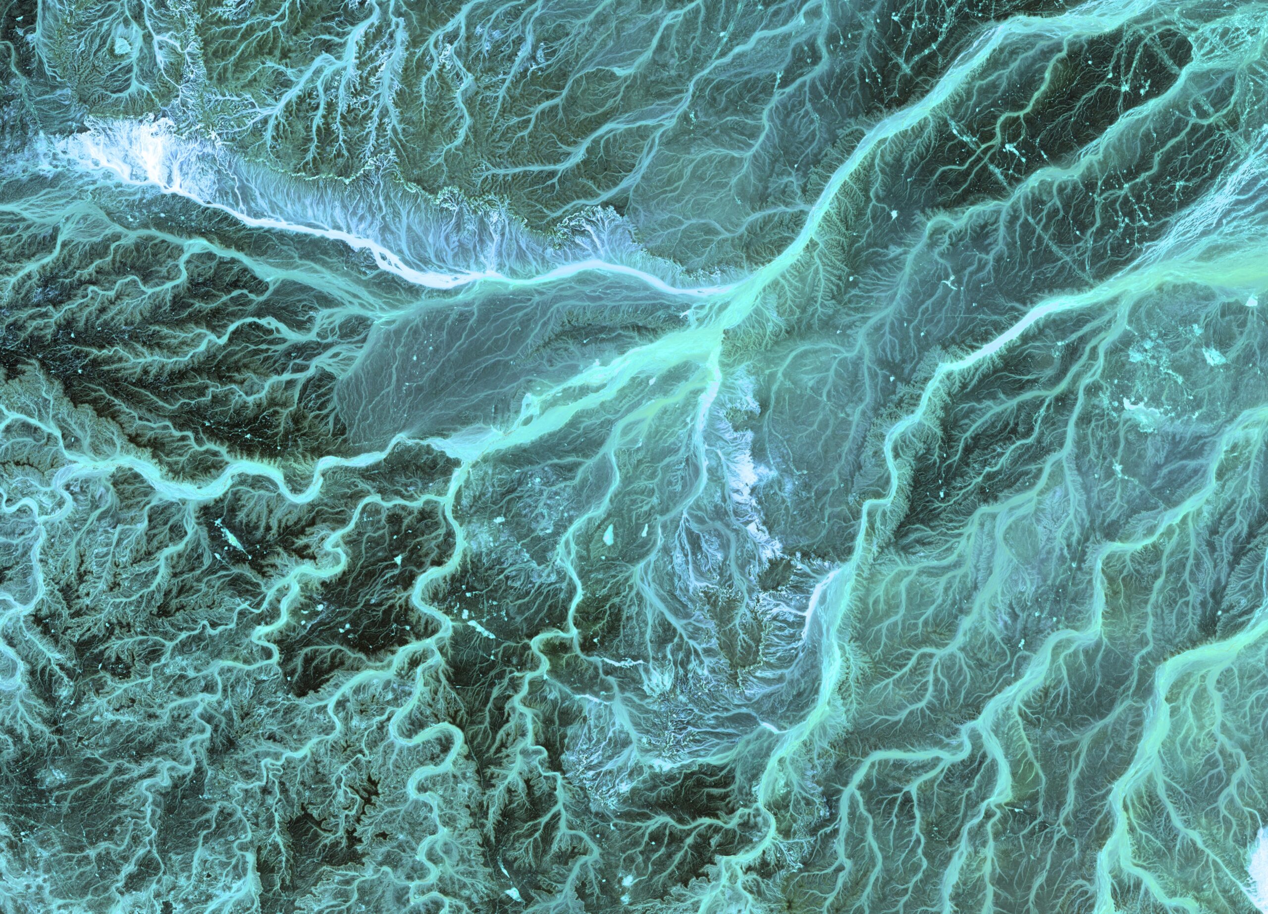 Psychedelics Promote Structural and Functional Neural Plasticity